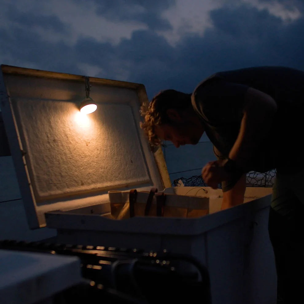 Toadfish Stowaway LED Lantern
