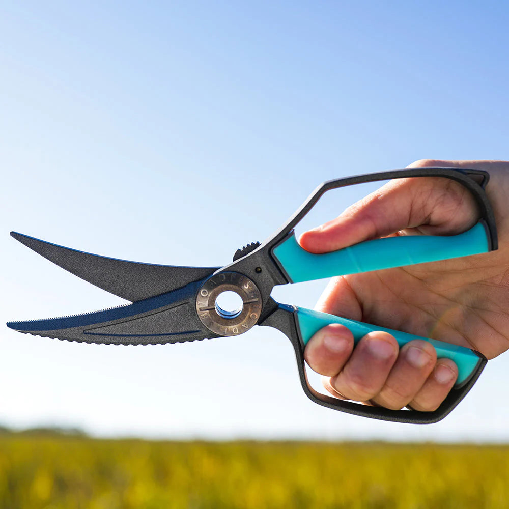 Toadfish Ultimate Shears & Sheath