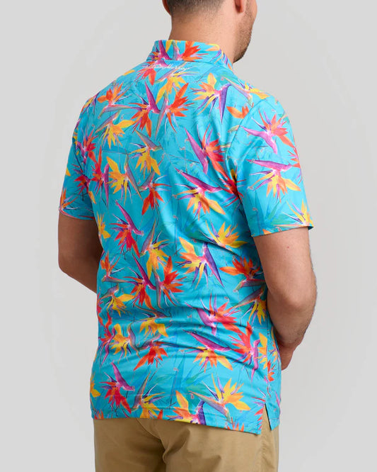 William Murray BIRDS OF A FEATHER POLO - Turquoise