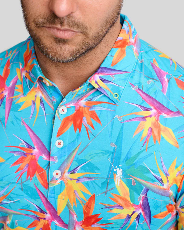 William Murray BIRDS OF A FEATHER POLO - Turquoise