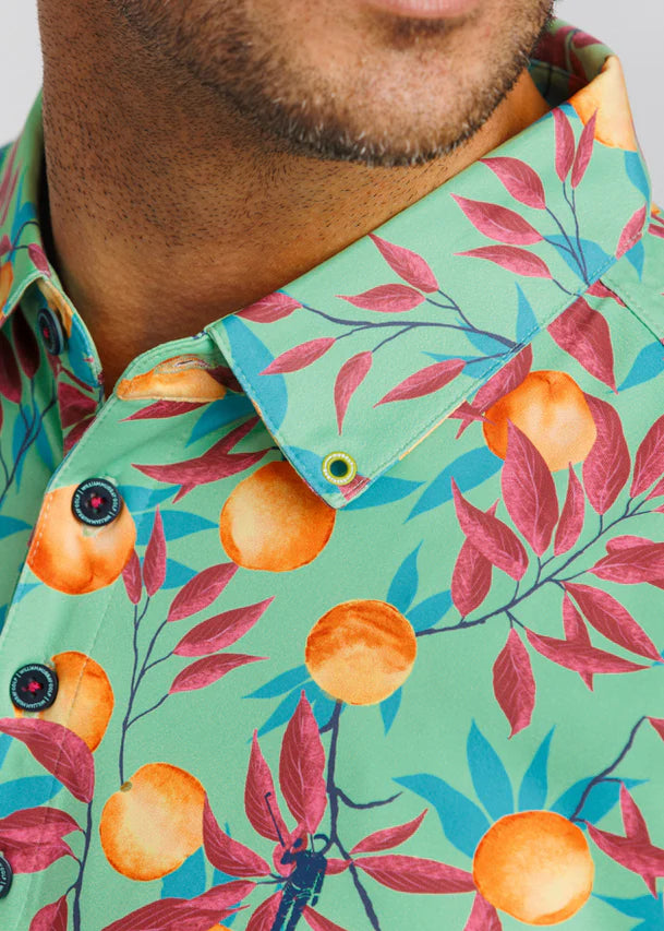 William Murray THAT'S A PEACH, HON POLO - Limon