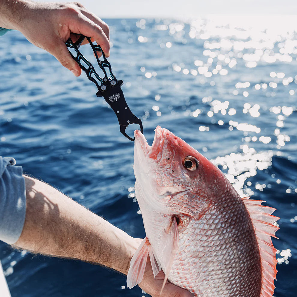 Toadfish Stowaway Fish Grip