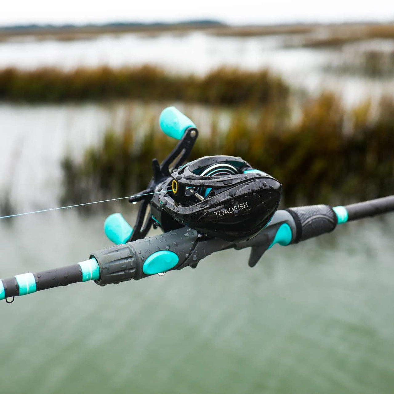 Toadfish TFBCREEL71 Elite Carbon Series Baitcasting Reel
