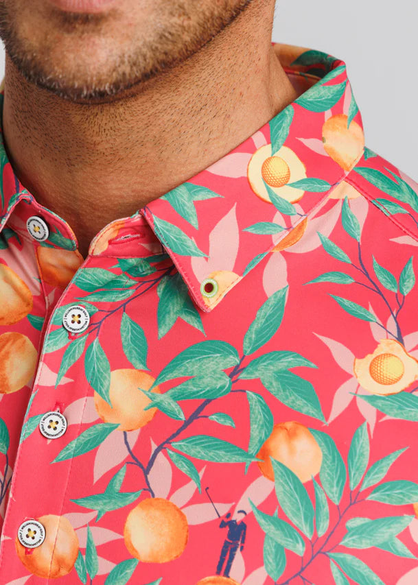 William Murray THAT'S A PEACH, HON Polo - Pink Punch