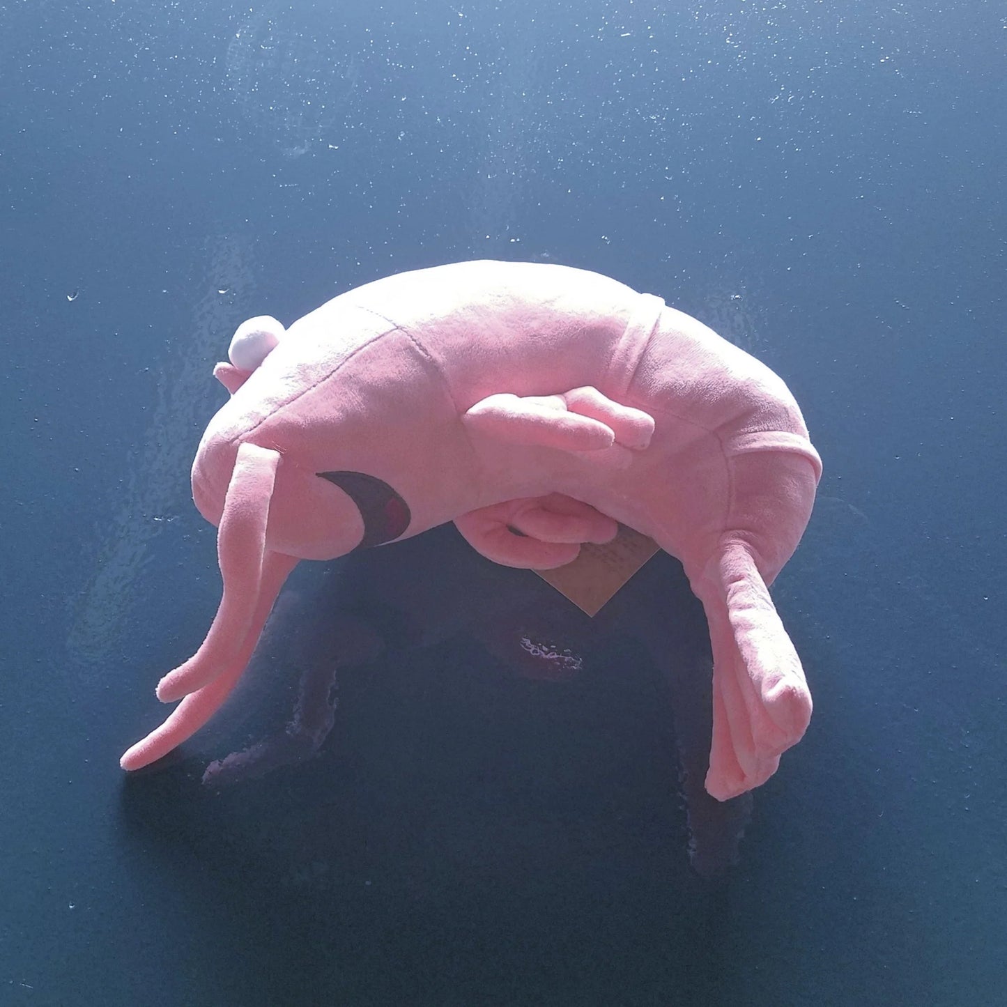 Low Country Livin' LowCo Plush Toy - Shrimp